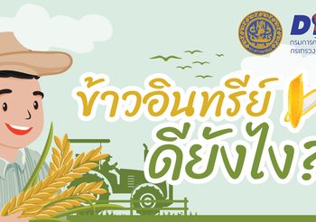 ข้าวอินทรีย์ คืออะไร ทำไมถึงดีต่อใจ … ดีกับทุกคน ?