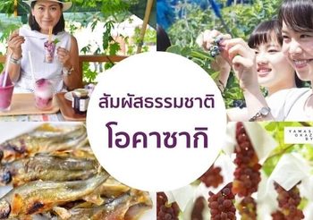 เก็บบลูเบอร์รี่ ชิมองุ่น จับปลา สัมผัสธรรมชาติที่โอคาซากิ ใกล้นาโกย่านิดเดียว