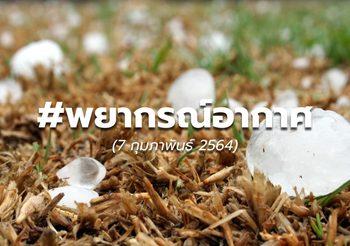 พยากรณ์อากาศ 7 ก.พ. / เตือนพายุฝนฟ้าคะนอง-ลมกระโชกแรง-ลูกเห็บตก