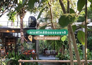 รวมลิสต์ คาเฟ่ใกล้ชิดธรรมชาติ ย่านนนทบุรี ร้อนๆ แบบนี้ต้องไปชิล