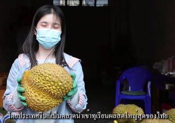 ‘ทางหลวงคุนหมิง-กรุงเทพฯ’ ผลักดันการค้าดอกไม้ผลไม้ ‘จีน-ไทย’