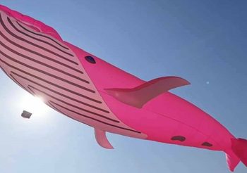 เทศกาลว่าวริมชายหาดพัทยา “PATTAYA KITE ON THE BEACH 2021” 9-19 เม.ย. 2564