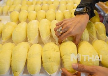 กรมอนามัย แนะไม่ควรกิน ‘ทุเรียน’ เกินวันละ 2 เม็ด