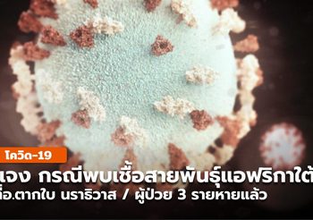 แจงรายละเอียด ผู้ป่วยโควิด-19 สายพันธุ์แอฟริกาใต้ 3 ราย