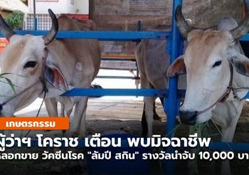 เตือน พบกลุ่มมิจฉาชีพ หลอกขาย วัคซีน โรค”ลัมปี สกิน”