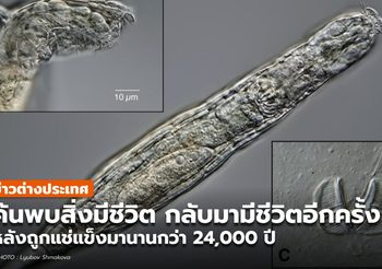 พบแพลงก์ตอนสัตว์ มีชีวิตอีกครั้ง หลังถูกแช่แข็งกว่า 2.4 หมื่นปี