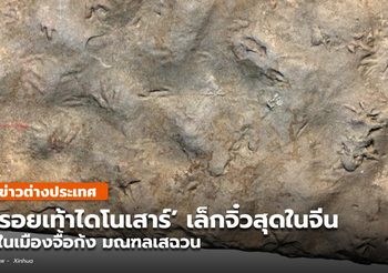 เสฉวนพบ ‘รอยเท้าไดโนเสาร์’ เล็กจิ๋วสุดในจีน