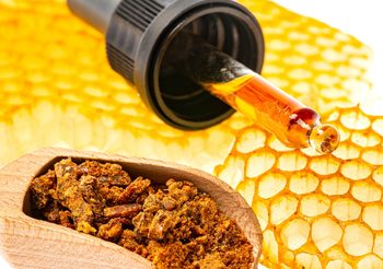 ความมหัศจรรย์ของ Propolis – โพรโพลิส กาวผึ้งที่ไม่ได้มีดีแค่ความเหนียว และความหวาน