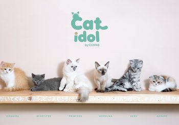 CGM48 เอาใจสายทาสแมว กับโปรเจกต์สุดเหมี๊ยว ‘CAT IDOL by CGM48’