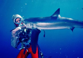 Playing with Sharks ภาพยนตร์สารคดี เจาะชีวิตนักดำน้ำผู้พิทักษ์ฉลาม