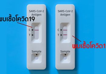 วิธีใช้ชุดตรวจ Rapid Antigen Test Covid19 ด้วยตัวเองที่บ้าน และวิธีอ่านผลที่ถูกวิธี