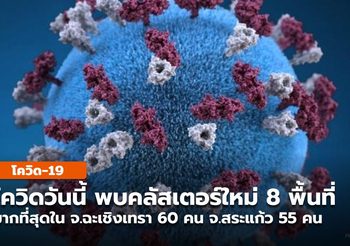 รายงานสถานการณ์โควิด พบ 8 คลัสเตอร์ใหม่ ใน 8 จังหวัด