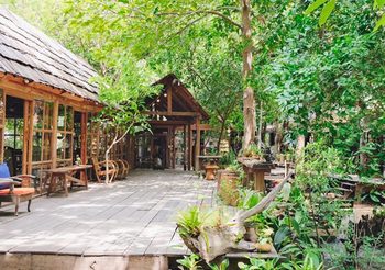 Skipper Garden จิบกาแฟเพลินๆ นอนเปล แวดล้อมไปด้วยธรรมชาติ บรรยากาศร่มรื่น