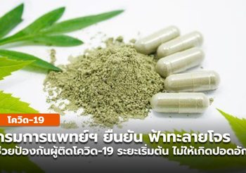 อธิบดีกรมการแพทย์แผนไทยฯ ยืนยัน ฟ้าทะลายโจร ยังใช้ได้กับผู้ป่วยโควิด-19