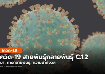 รู้จักเชื้อโควิด-19 สายพันธุ์กลายพันธุ์ C.1.2