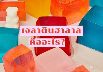 เจลาตินฮาลาลคืออะไร และมีประโยชน์ต่อร่างกายหรือไม่ มาหาคำตอบกัน!