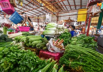 สำรวจราคาผัก ‘เทศกาลกินเจ’ หลังเกิดน้ำท่วมหลายพื้นที่