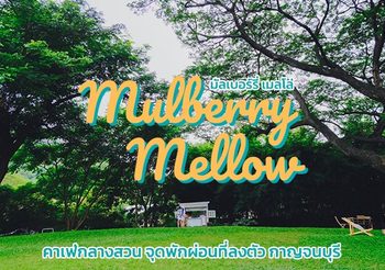 Mulberry Mellow คาเฟ่กลางสวน จุดพักผ่อนที่ลงตัว กาญจนบุรี