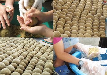 วิธีทำ EM Ball และ น้ำ EM สำหรับบำบัดน้ำเสีย