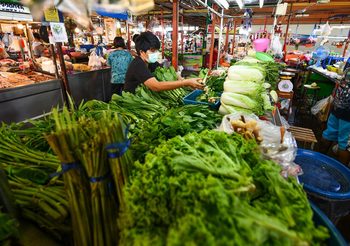 ราคาผัก-สินค้าเกษตร ประจำวันที่ 3 พ.ย.64