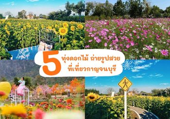5 ทุ่งดอกไม้ เมืองกาญจนบุรี ที่จะช่วยให้ชีวิตของคุณสดใสขึ้น