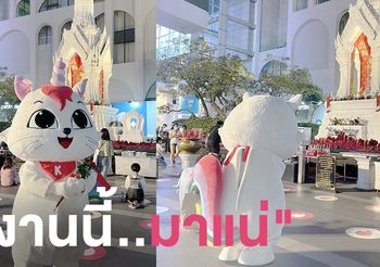 งานนี้เนื้อคู่มาแน่…..เมื่อน้อลโคโค่มาสคอตอยากมีแฟนบ้าง