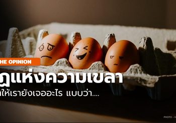 “5 กฏของความเขลา” ที่ทำให้เรายังให้เห็นใครสักคนทำอะไรโง่ ๆ ได้ทุกวัน