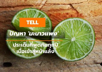 ปัญหา ‘มะนาวแพง’ ประเด็นที่พูดกันทุกปี เมื่อเข้าสู่หน้าแล้ง