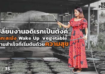 เปลี่ยนงานอดิเรกเป็นตังค์ ผักกะละมัง Wake Up Vegetable