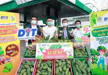 PTG จัดแคมเปญ เติมน้ำมัน – LPG รับมะม่วงฟรี อิ่มท้อง สดชื่น ช่วยชาวสวน