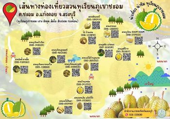 วิสาหกิจชุมชนท่องเที่ยวเกษตรเชิงอนุรักษ์ชะอมชวนทานบุฟเฟ่ต์ทุเรียนภูเขาชะอม 11-26 มิ.ย.นี้