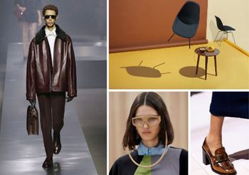 Eyewear Trend : Modern Restyling