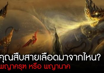 พิสูจน์ความเชื่อ วิธีดูว่าคุณสืบเชื้อสายจาก “พญาครุฑ หรือ พญานาค”