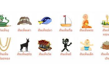 ทำนายฝัน จากความฝันยอดนิยม แบบเจาะลึก แท้จริงหมายถึงอะไรบ้าง?