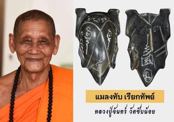 แมลงทับเรียกทัพย์ โคตรเศรษฐี เขาควายดำ หลวงปู่จันทร์ วัดซับน้อย เพชรบูรณ์