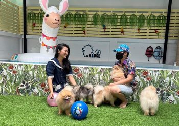 zu Hause ทางเลือกในการดูแลน้องหมา ปรับโฉมใหม่พร้อมเสริมบริการสร้างสุขเพื่อสมาชิกสี่ขาของครอบครัว รับกระแส ‘Pet Humanization’