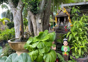 วิธีตั้งและไหว้ ศาลตายาย ฉบับครบสูตรถูกหลักฮวงจุ้ย