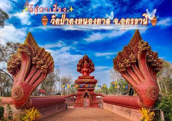 วัดป่าดงหนองตาล จ.อุดรธานี มนต์เสน่ห์แห่งพุทธศาสนา  