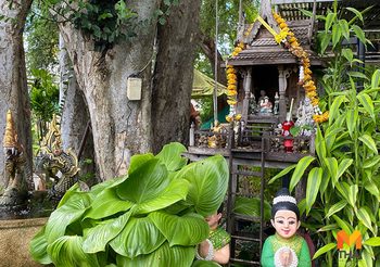 วิธีไหว้พระภูมิเจ้าที่ พร้อมบทสวดขอพรให้ดูแลคุ้มครองบ้าน