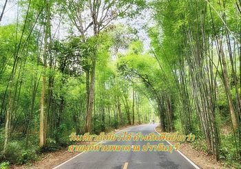 วันเดียวก็เที่ยวได้ ค้างคืนฟินยิ่งกว่า สายมูก็ห้ามพลาด ณ ปราจีนบุรี