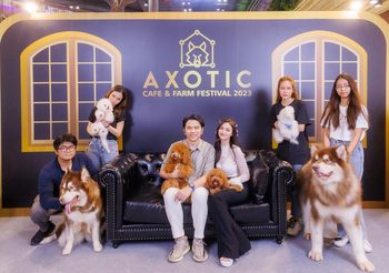 Axotic Cafe & Farm ทุ่มงบ 20 ล้านบาท เปิดตัวฟาร์มสุนัข “โกลเด้นดูเดิ้ล” ใหญ่ที่สุดในไทย