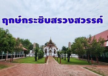 ฤกษ์กระซิบสรวงสวรรค์ สายมูห้ามพลาด ฤกษ์นี้1 ปีอาจไม่มีอีกแล้ว!