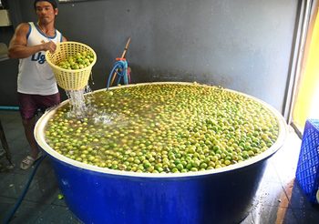 กรมการค้าภายใน ดูแลสินค้ามะนาวต่อเนื่องตลอดฤดูการผลิต
