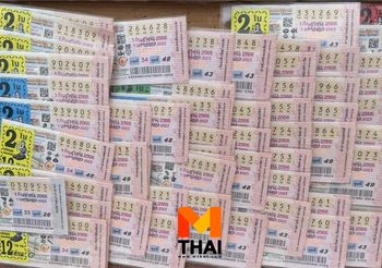 รวมเลขเด็ดงวดนี้! เลขการเมืองมาแรง เลขสัญจรตกที่ไหนไปดูกัน?