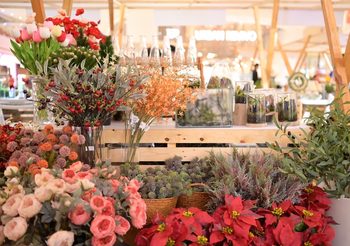 สยาม ทาคาชิมายะ จับมือ ไอคอนสยาม ร่วมฉลองครบรอบ 5 ปีจัดงาน “IKEBANA and Flower Show” นิทรรศการศาสตร์การจัดดอกไม้เก่าแก่ประจำชาติญี่ปุ่น