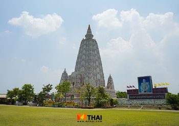 ห่มผ้าพระพุทธเมตตา ถวายน้ำนมต้นพระศรีมหาโพธิ์ วัดสุวรรณภูมิพุทธชยันตี