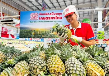 โก โฮลเซลล์ หนุนเกษตรกร จ.ลำปาง ดันสับปะรดกระจายทุกสาขา ช่วยปัญหาล้นตลาด