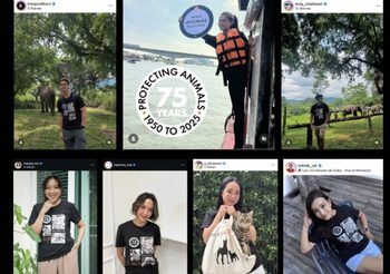 ดารา-คนดัง รวมพลังร่วมส่งเสียงแทนสัตว์ไร้เสียง ฉลอง 75 ปี World Animal Protection ในแคมเปญ “Don’t Forget Them”