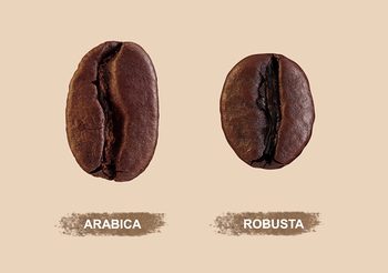 กาแฟโรบัสต้า vs อาราบิก้า รู้จักสายพันธุ์กาแฟระดับพรีเมียมกับNespresso