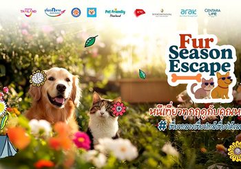 ททท. เปิดตัวโครงการ “Fur Season Escape หนีเที่ยวทุกฤดูกับคุณหนูสี่ขา” ชวนสัมผัสประสบการณ์ท่องเที่ยวแบบ Pet-friendly ระดับพรีเมียม พร้อมจัดงาน ME & PAWS Fair ในบรรยากาศแสนเก๋และอบอุ่น